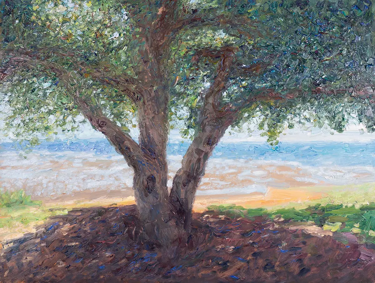 Dan Scott, Pointe Wellington, Contraste élevé, 2021