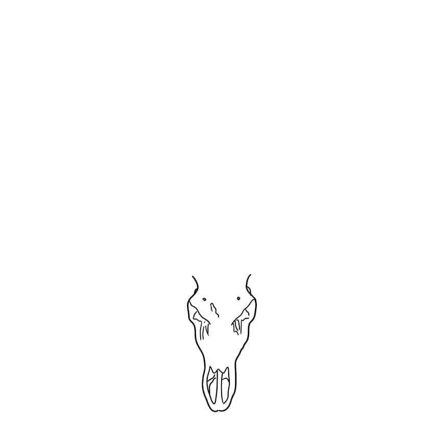 Dessin de crâne de cerf 1