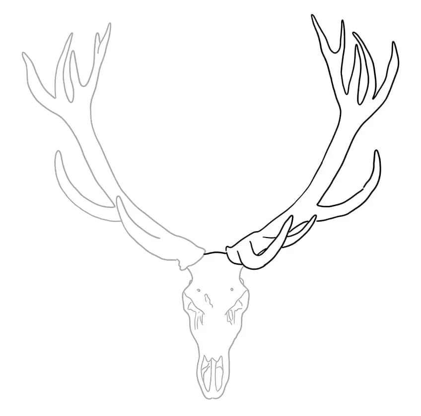 Dessin de crâne de cerf 3
