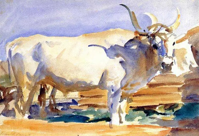 John Singer Sargent, White Ox à Sienne, 1910