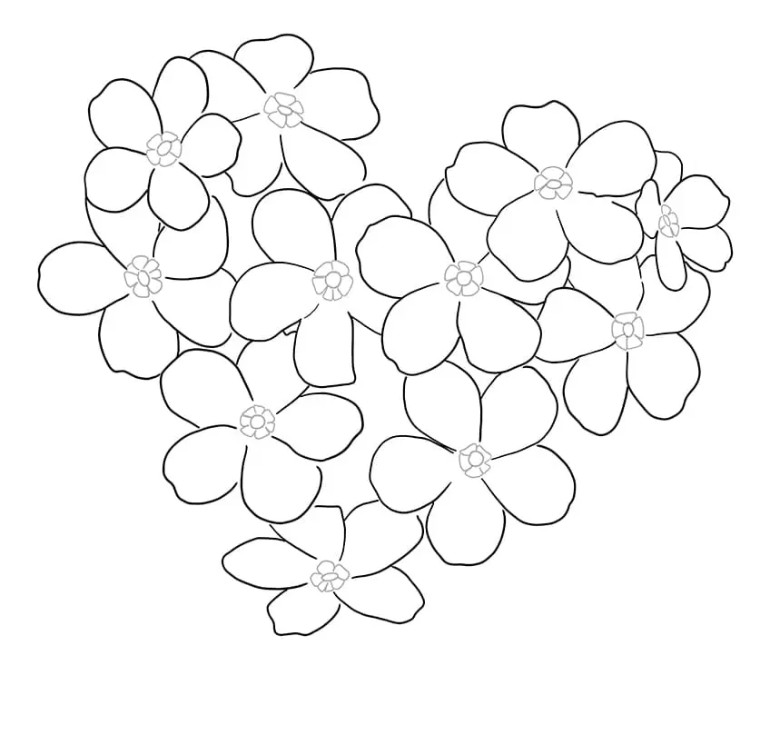 ne m'oublie pas fleur Dessin 3