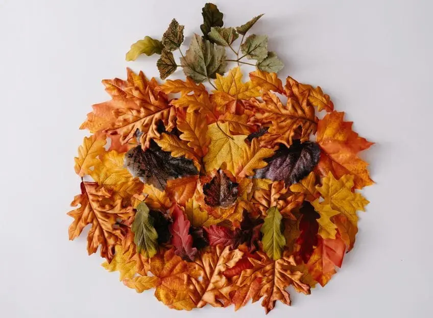 Signification des nuances d'orange brûlé