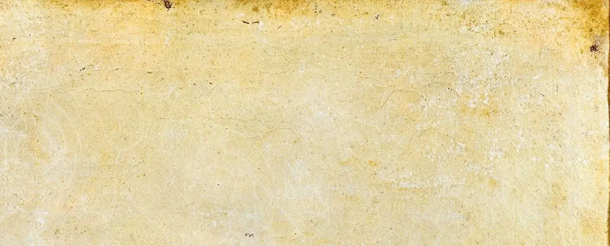 Caravage, Corbeille de fruits, vers 1599 (Détail 2)