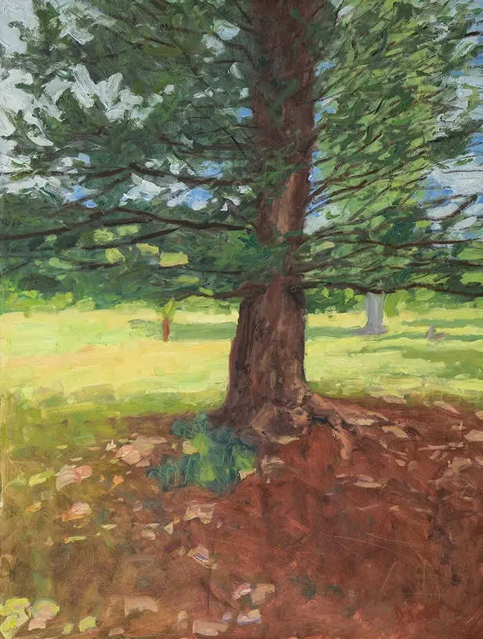 Dan Scott, Arbre, Lumière tachetée, 2020, 1200W Web