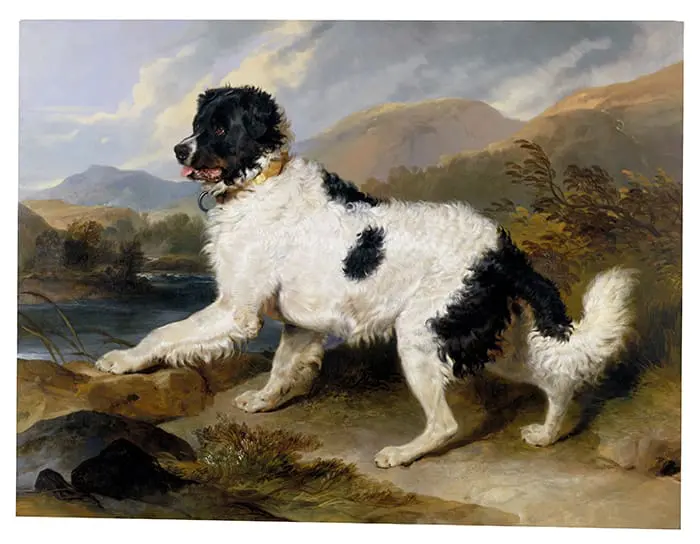 Edwin Landseer, Lion Un chien de Terre-Neuve, 1824
