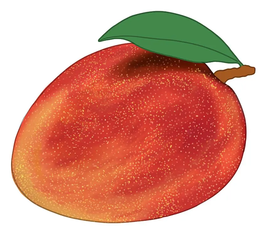 Mangue Dessin 10
