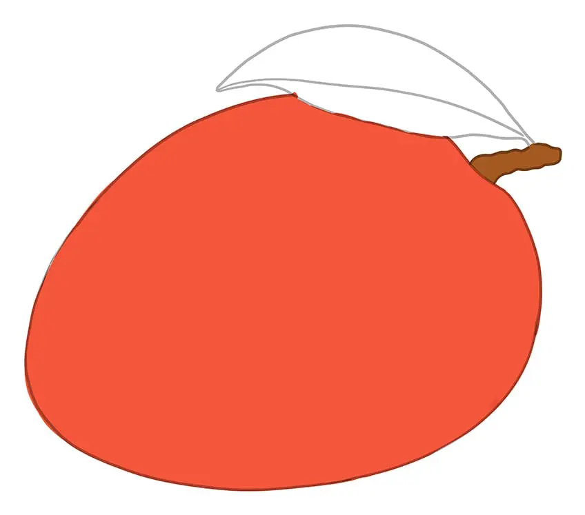 Mangue Dessin 6