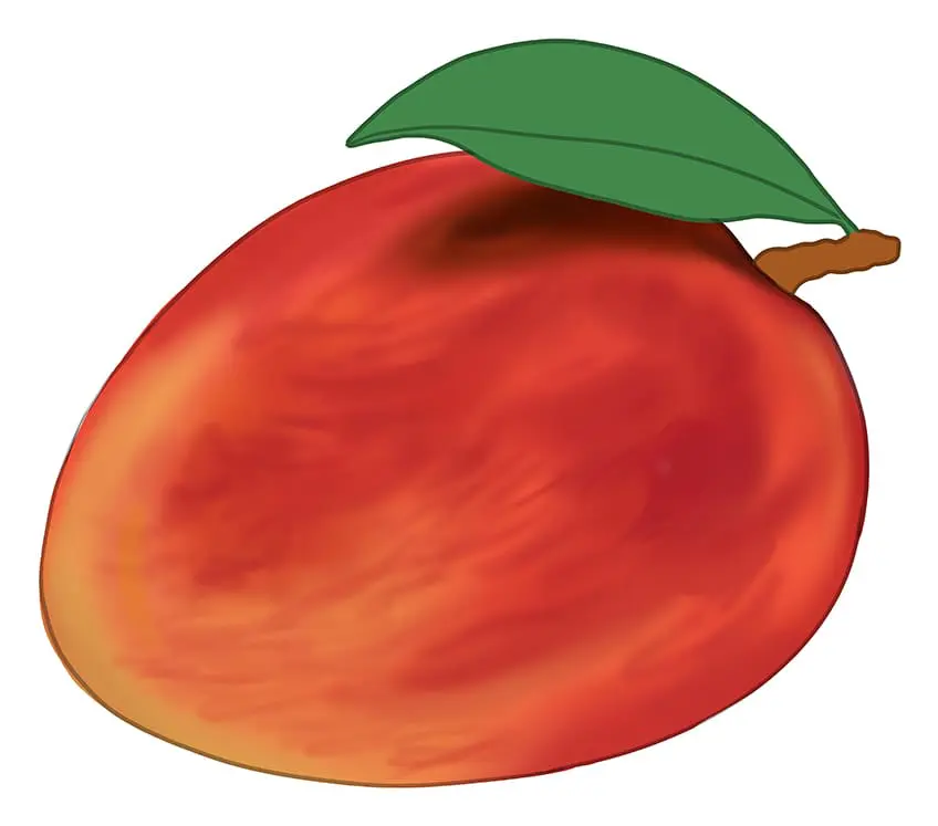 Mangue Dessin 9