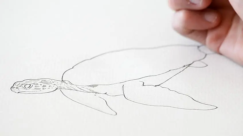 Tortue de mer Dessin 10