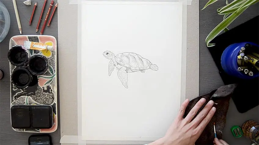 Tortue de mer Dessin 18
