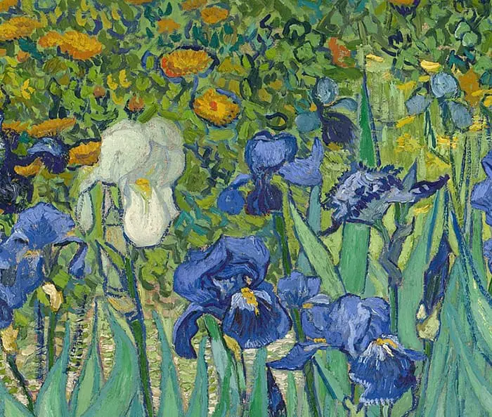 Vincent van Gogh, Iris, 1889 (Détail 2)
