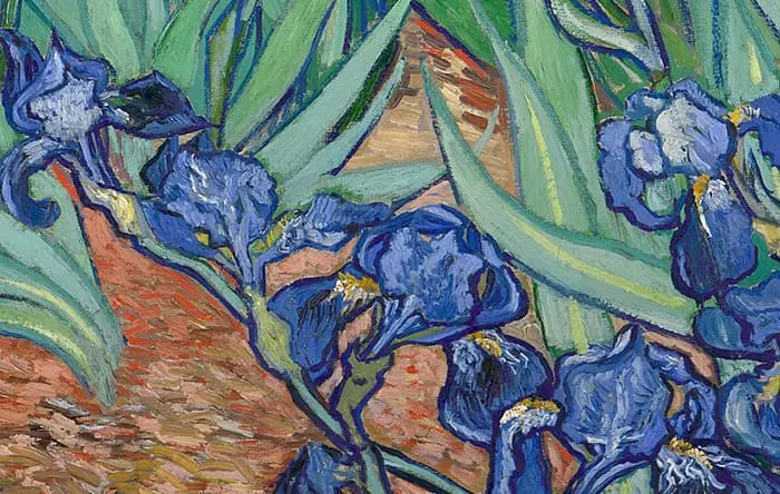 Vincent van Gogh, Iris, 1889 (Détail 3)