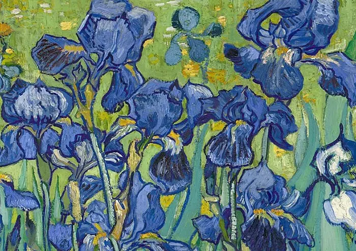 Vincent van Gogh, Iris, 1889 (Détail 4)