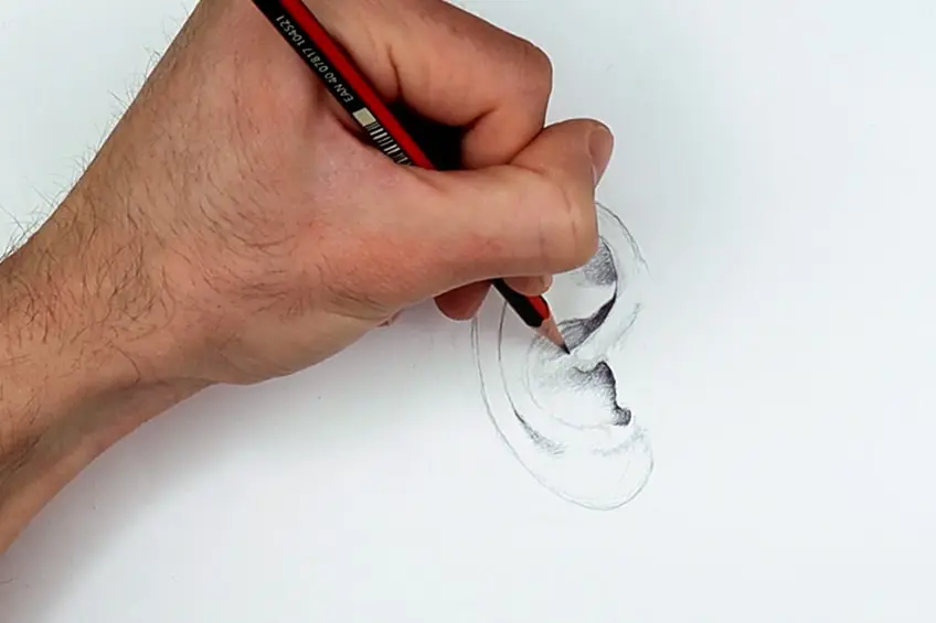 dessiner les oreilles 08