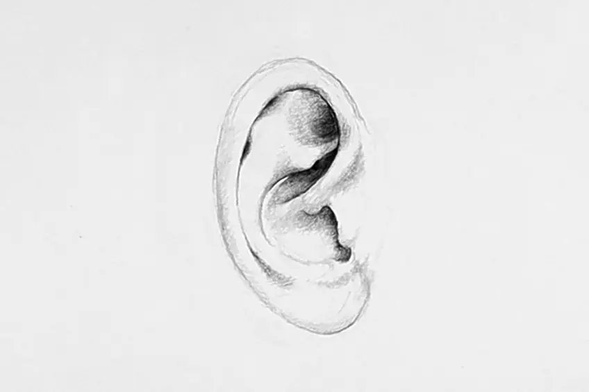 dessiner les oreilles 10