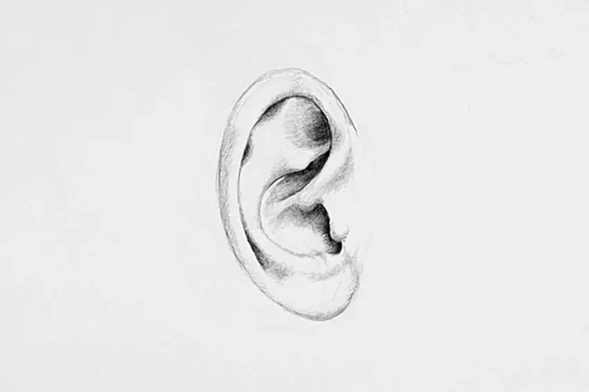 dessin d'oreille 12