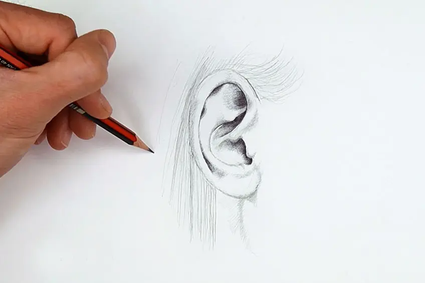 dessin d'oreille 13