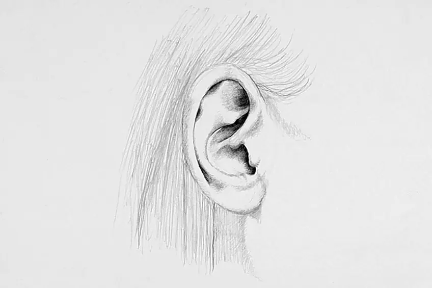 dessin d'oreille 14
