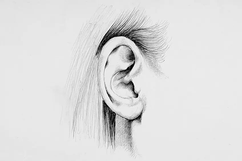 croquis d'oreille 17