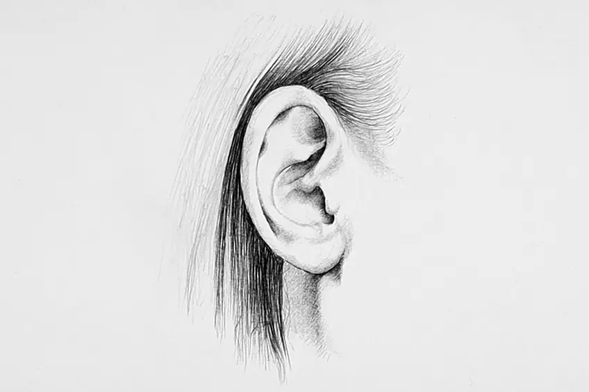 croquis d'oreille 18