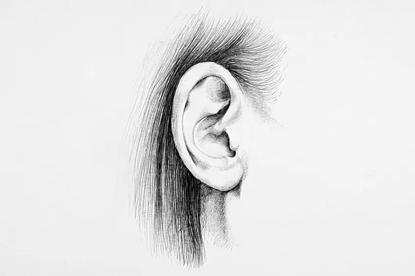 croquis d'oreille 20