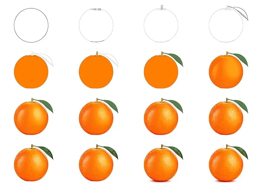 dessin de fruits orange