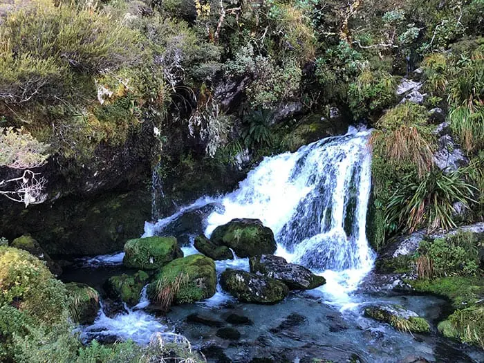 1905, Nouvelle-Zélande, Routeburn Track