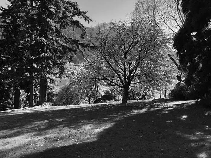 1905, Nouvelle-Zélande, Routeburn Track (Niveaux de gris)