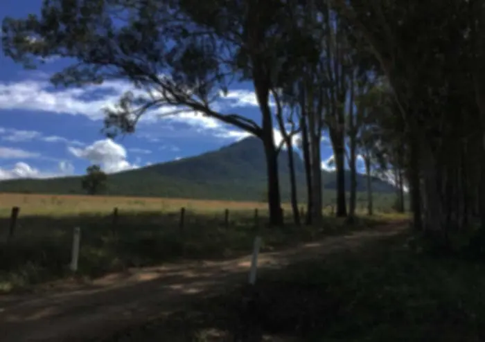 Photo de référence - Effet de strabisme Photo de référence - Effet de strabisme