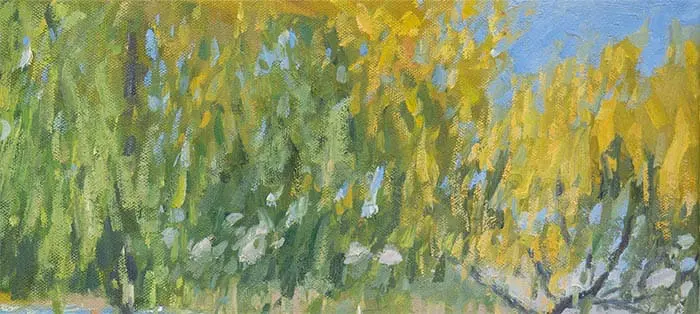 Dan Scott, Queenstown, Nouvelle-Zélande, détail des feuilles