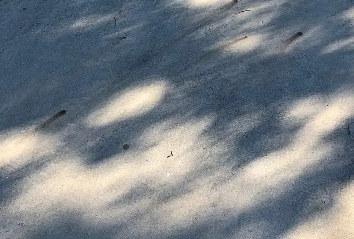 Lumière tachetée - Détail Lumière tachetée - Détail