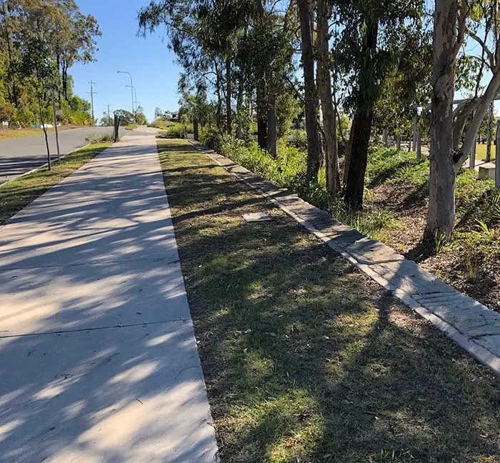 Lumière tachetée Lumière tachetée