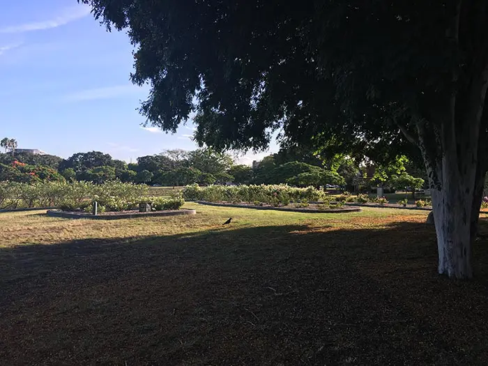 Études de couleurs - Photo de référence