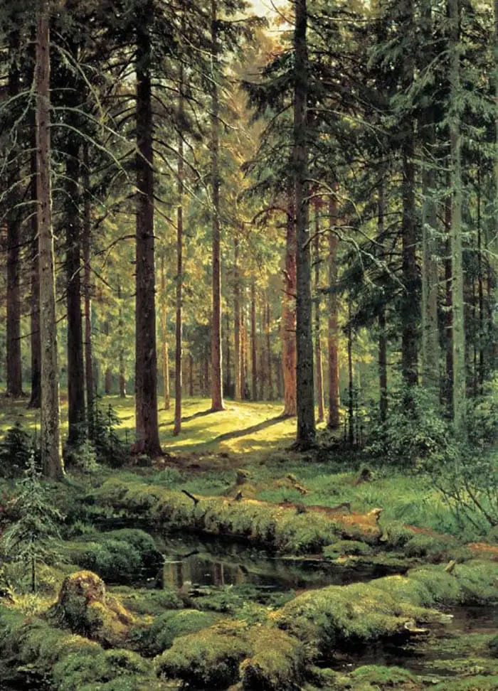 Ivan Ivanovitch Chichkine, Une forêt de conifères.  Journée ensoleillée, 1895