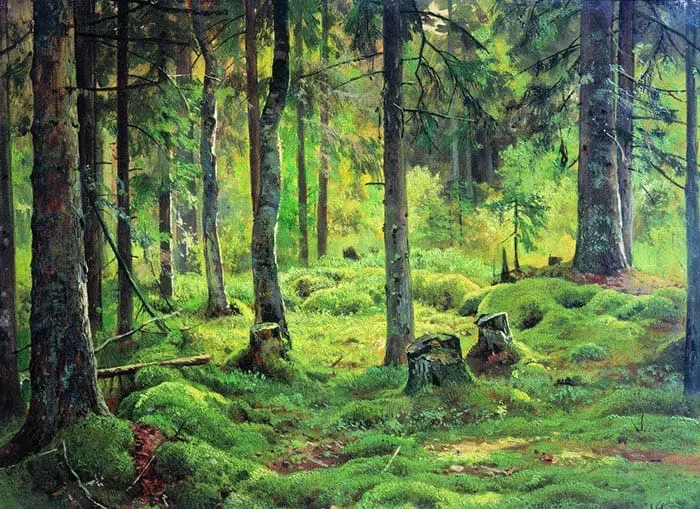 Ivan Chichkine, Bois mort, 1893 Ivan Chichkine, Bois mort, 1893
