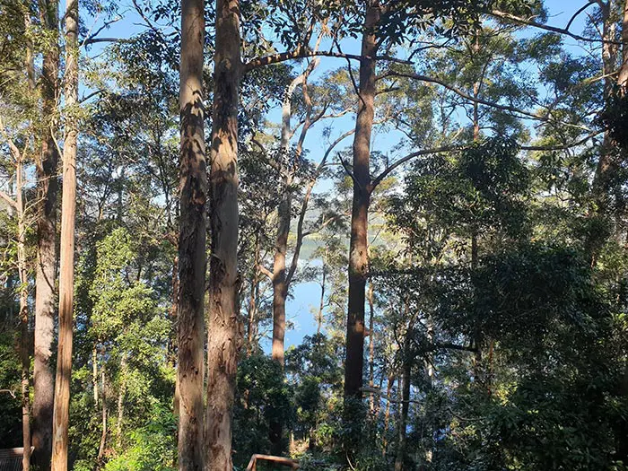 Secrets sur le lac - Vue du balcon Secrets sur le lac - Vue du balcon