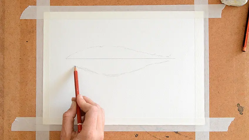 Esquisse de requin Étape 1