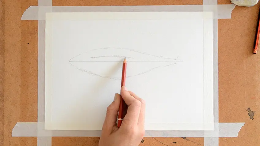 Esquisse de requin étape 2