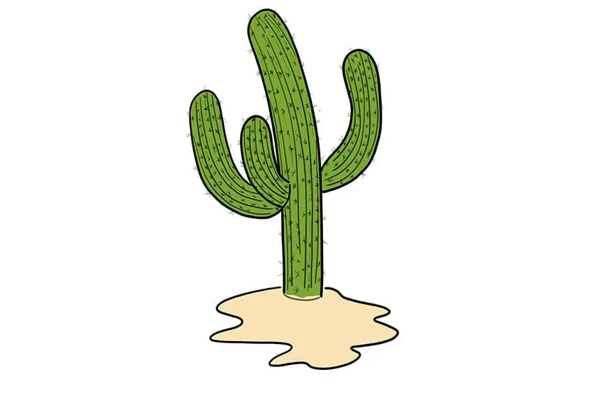 dessin de cactus 09