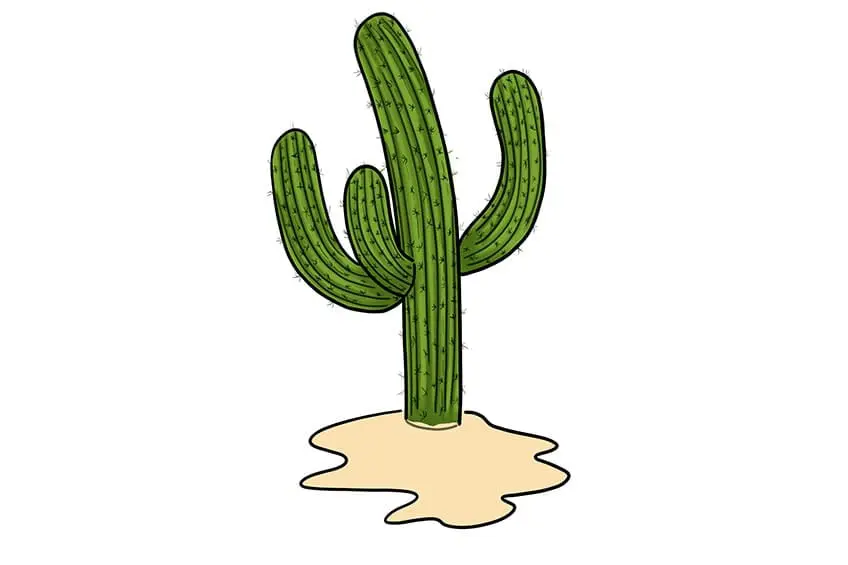 dessin de cactus 10