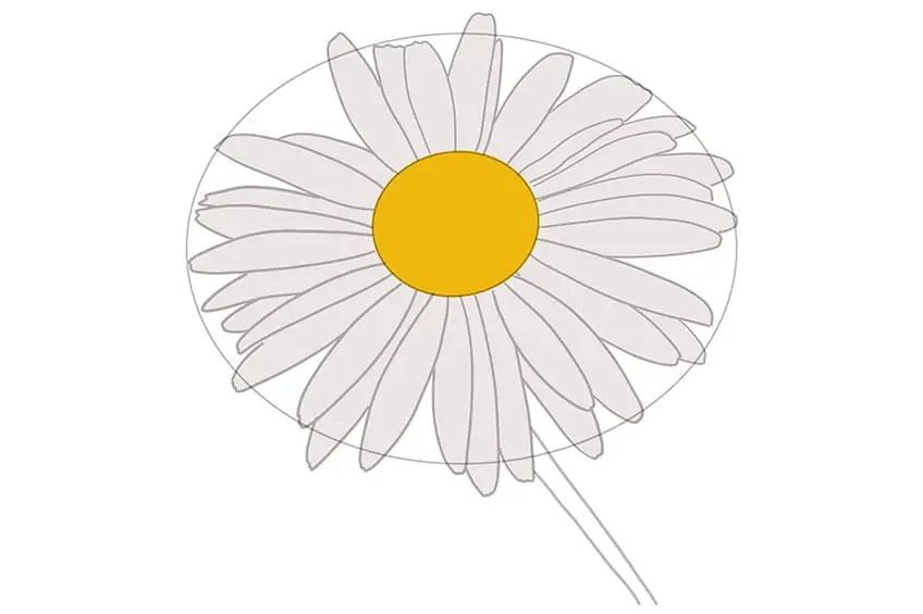 dessin de fleur de marguerite 06