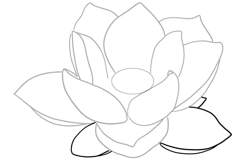 dessin de lotus 04