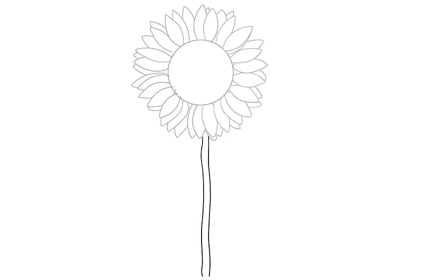 tournesols dessin 03