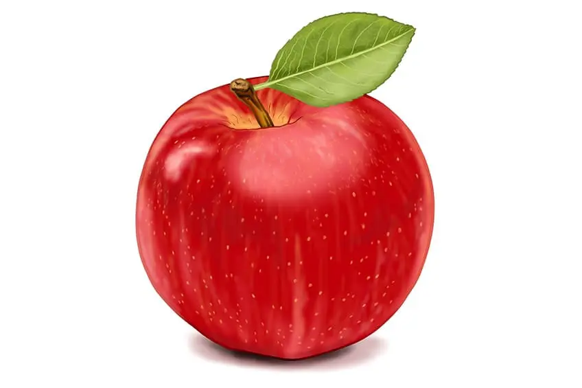 dessin pomme 17