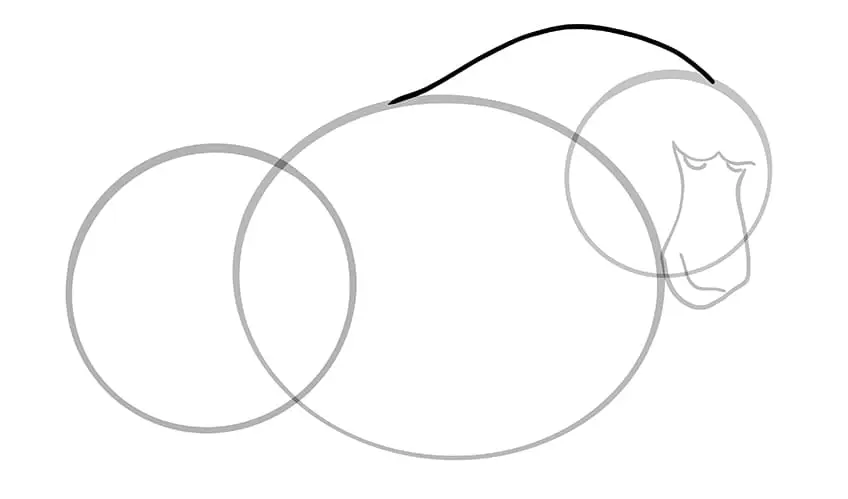 dessin de babouin 05