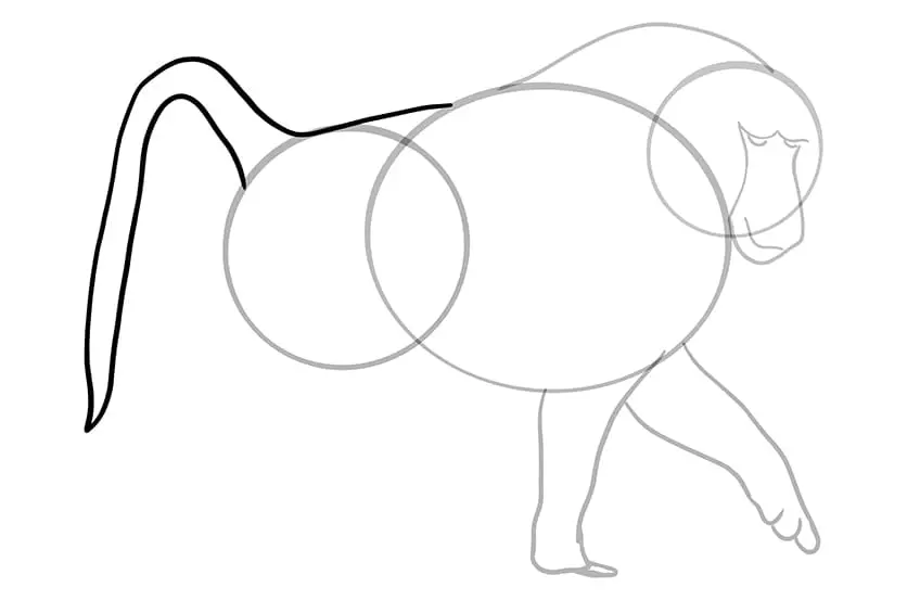 dessin de babouin 07