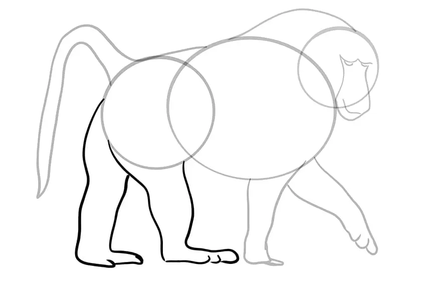 dessin de babouin 08