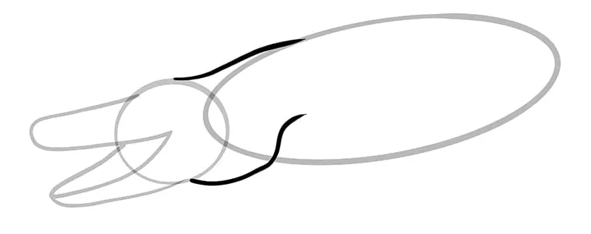 dessin de crocodile 04