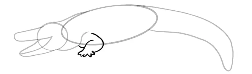 dessin de crocodile 06