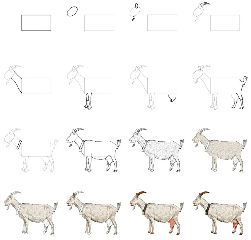 dessin de chèvre facile